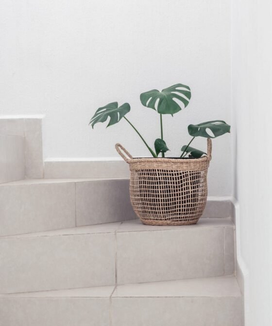 Concrete Soap Dispenser - Image 2